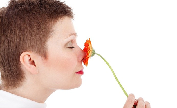 Loss of smell in early Alzheimer's dementia might be the key to early diagnosis