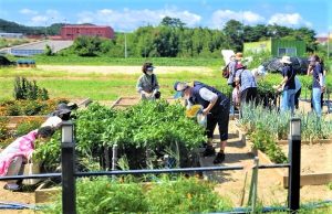 포항시 북구보건소, 치매환자 ‘가족 힐링프로그램’ 운영
